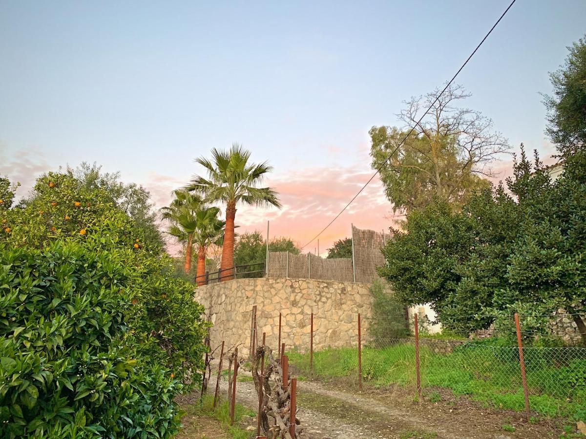 Vivelorural Casa Y Piscina En Zahara De La Sierra Villa Exterior photo